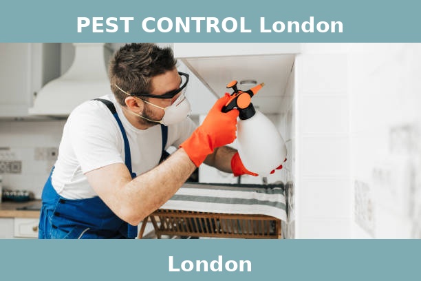 PEST CONTROL London